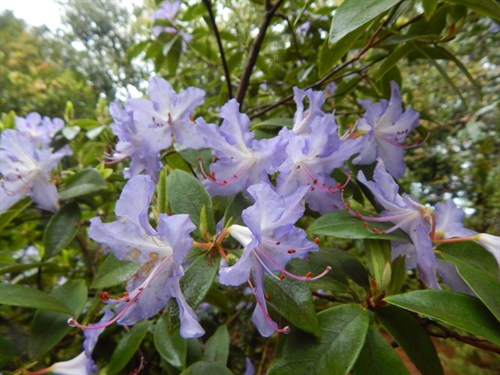 DSCN0343