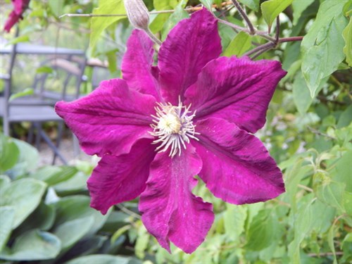DSCN0894