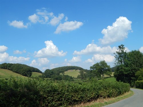 DSCN1196