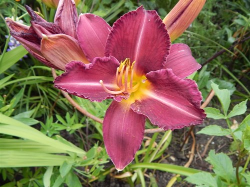 DSCN1217