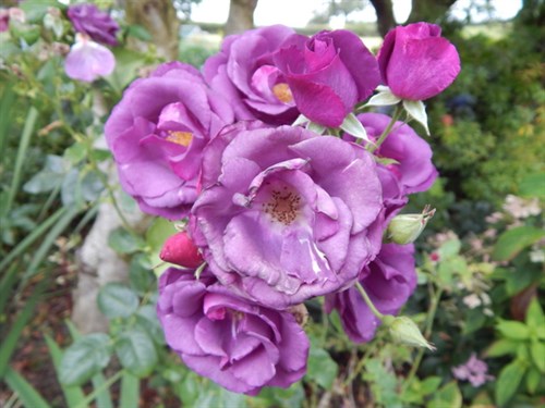 DSCN1371