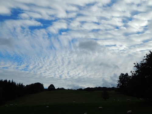 DSCN1458