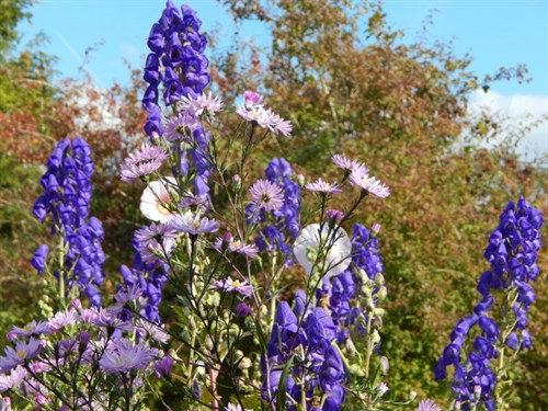 DSCN1602