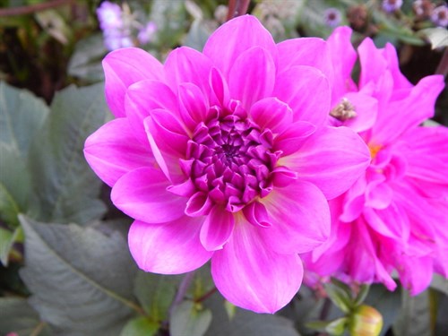 DSCN1631
