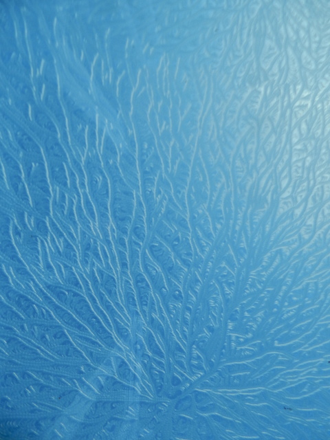 DSCN2306