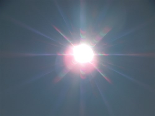 DSCN2730
