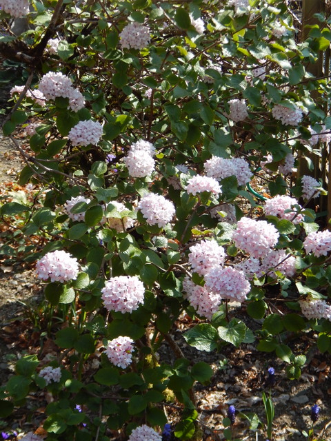 DSCN2928