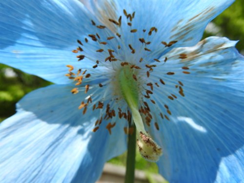 DSCN0041